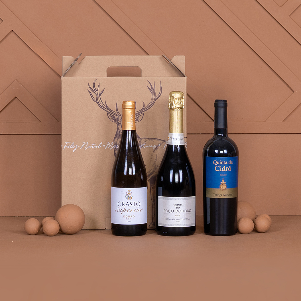 Vinho para o natal para oferta corporativa